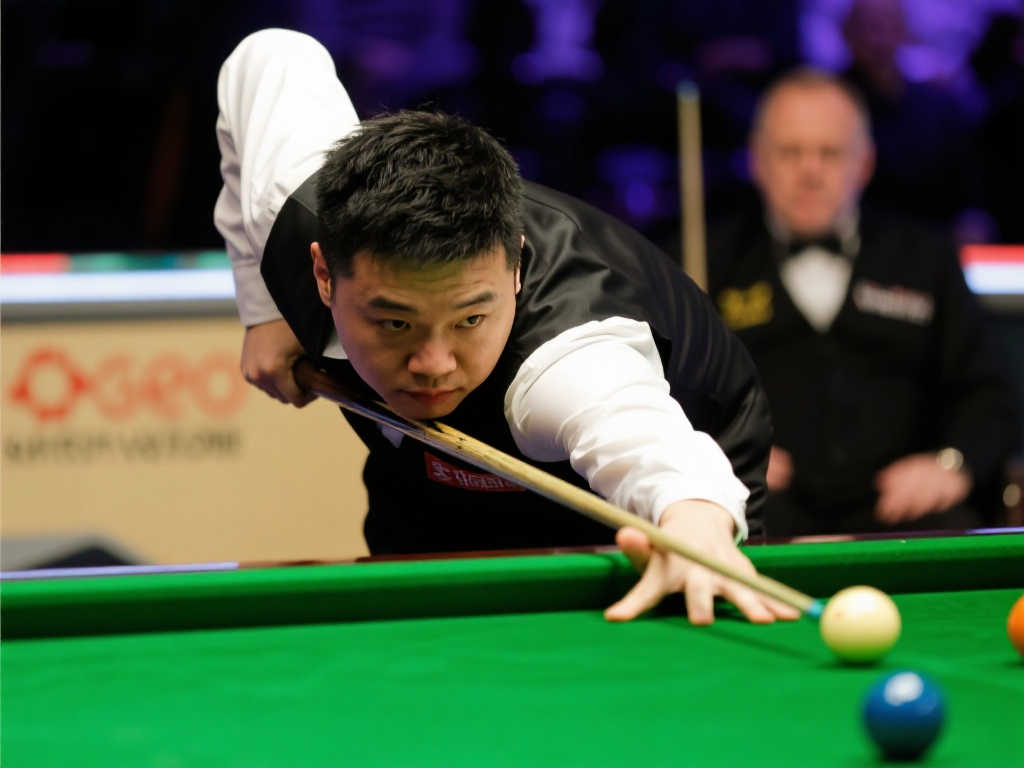 无论是职业 无论是职业