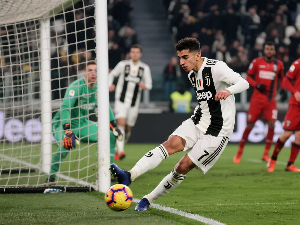 比赛的胜利 比赛的胜利